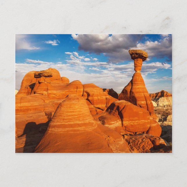 Svamparna Vykort (Framsida)