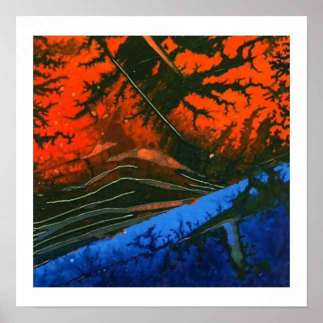 Svampbrand nr 6 poster (Framsidan)