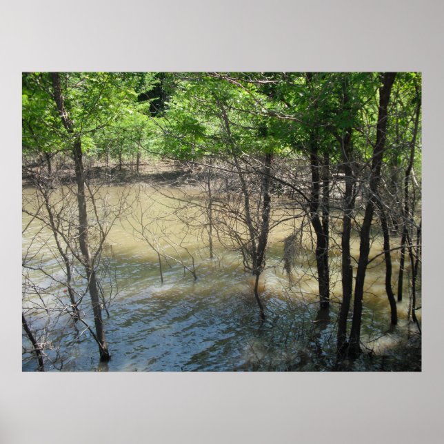 Svampen Poster (Framsidan)