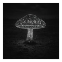 Svampglöd - Fototryck