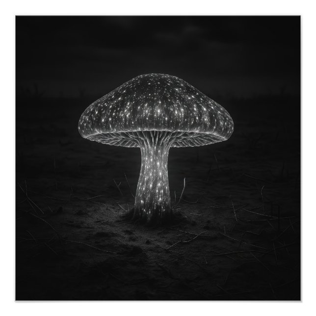 Svampglöd - Fototryck (Framsidan)