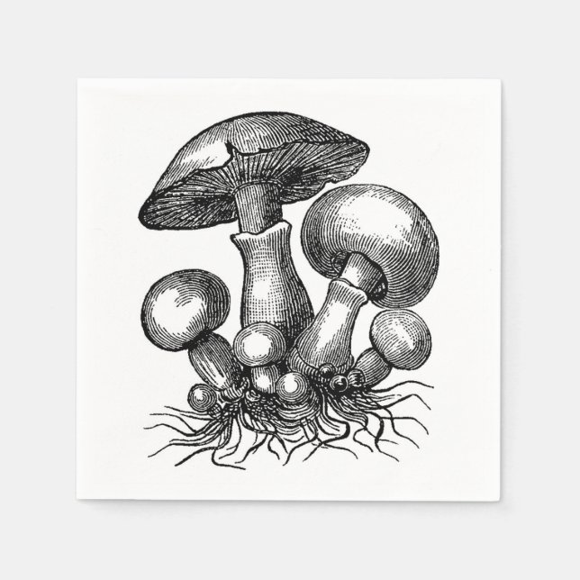 Svampillustration från äldre tid pappersservett (Framsidan)