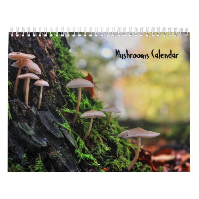 Svampkalender Kalender (Omslag)