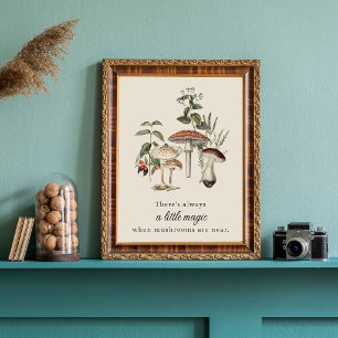 Svampmagi Poster