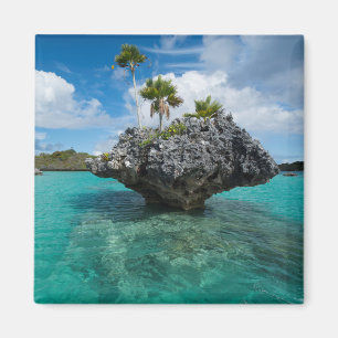 Svampöar i Fiji Magnet