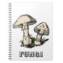 Svamprumsillustration