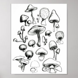 SvamprumsPoster Poster