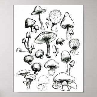 SvamprumsPoster Poster