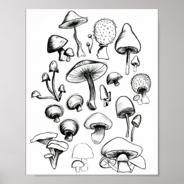 SvamprumsPoster Poster (Framsidan)