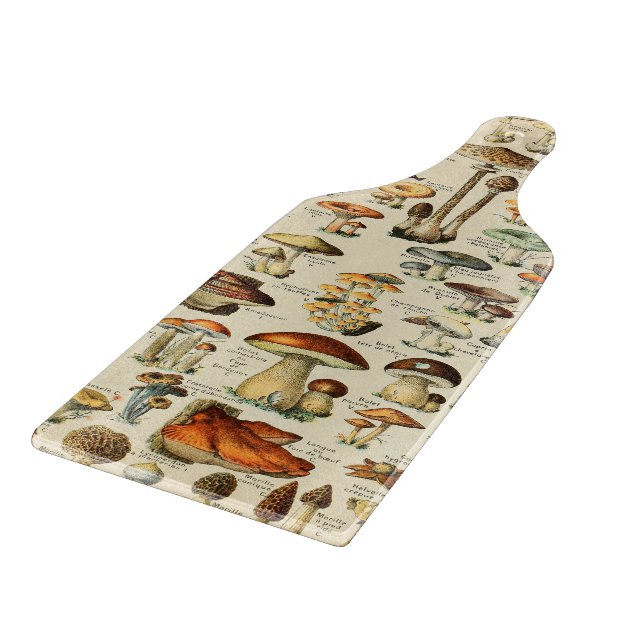 Svampsamling     (Hörn)