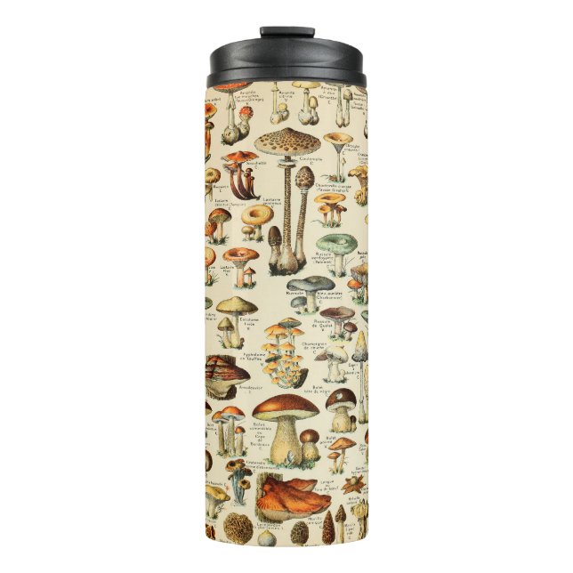 Svampsamling (Framsida)