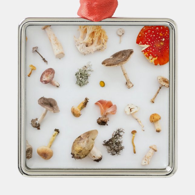 Svampsvampar Julgransprydnad Metall (Framsidan)