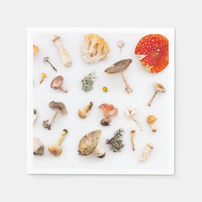 Svampsvampar Pappersservett (Framsidan)