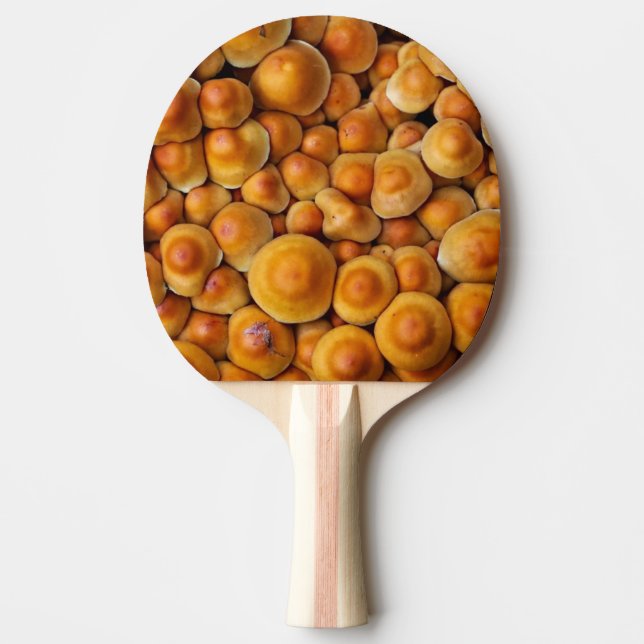 Svampsvampar Pingisracket (Framsidan)
