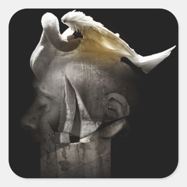 Svan 2013 fyrkantigt klistermärke (Framsida)