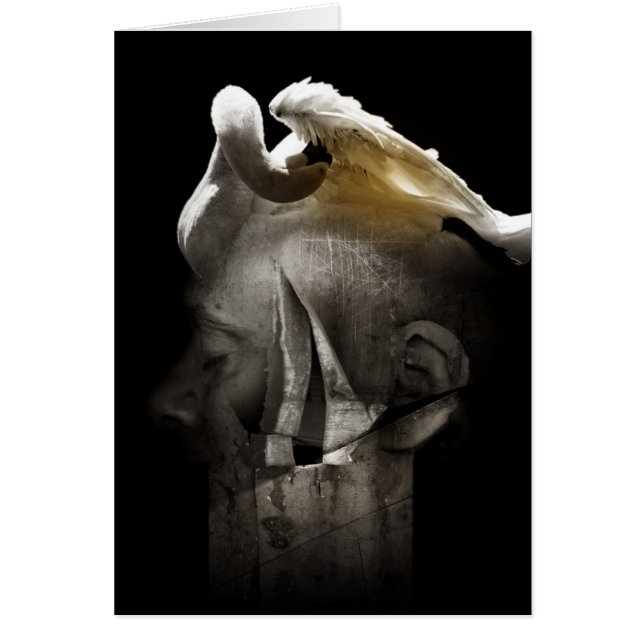 Svan 2013 hälsningskort (Framsidan)