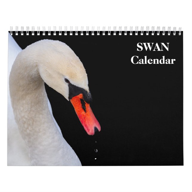 Svan 2027 kalender (Omslag)