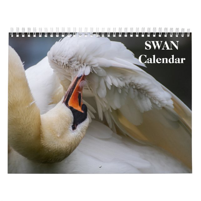 Svan 2027 kalender (Omslag)
