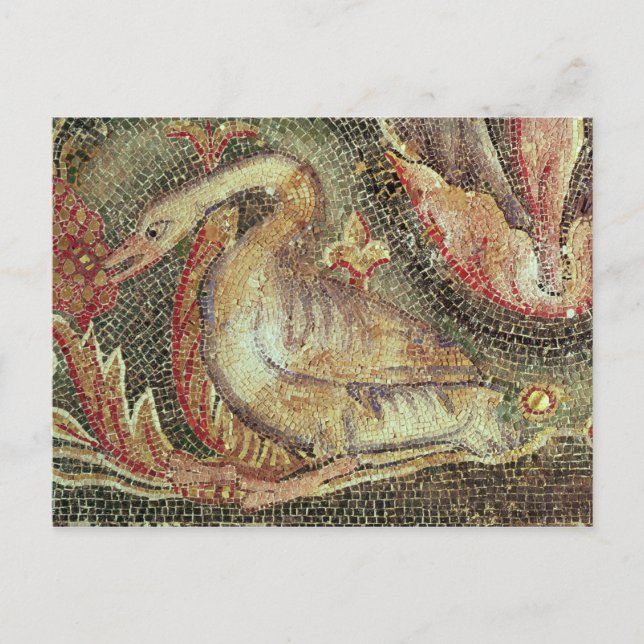 Svan, återställd 1200 vykort (Framsida)