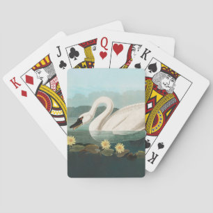 svan audubon-fågel vit vatten svanar casinokort