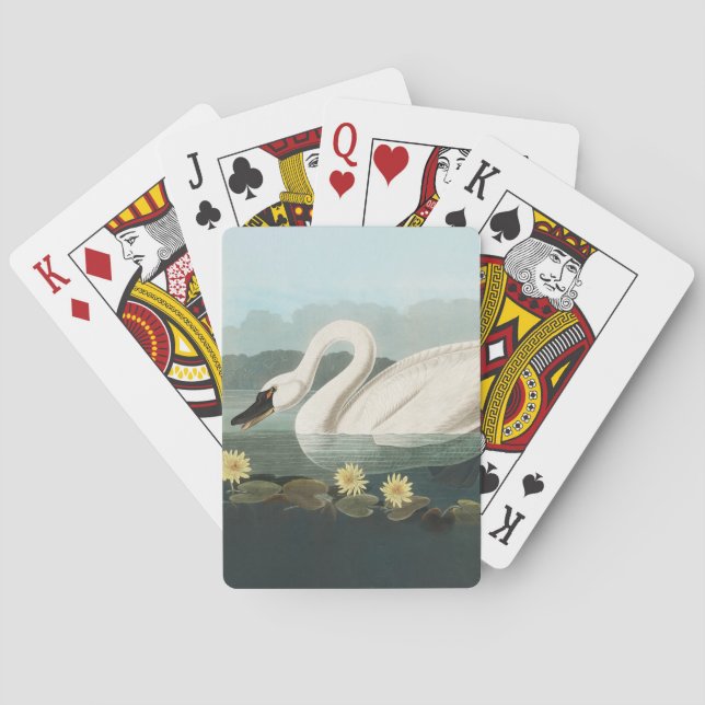 svan audubon-fågel vit vatten svanar casinokort (Baksidan)