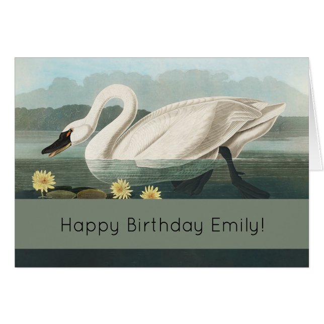 svan audubon-fågel vit vatten svanar hälsningskort (Framsidan Horizontal)
