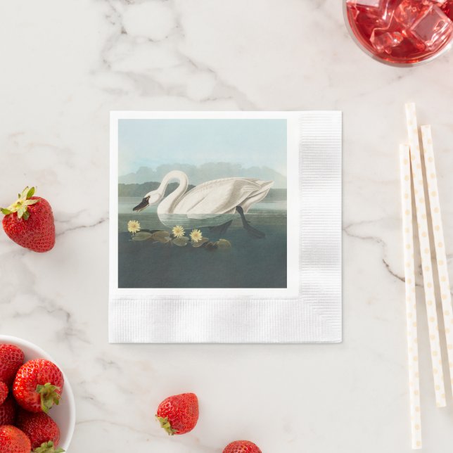 svan audubon-fågel vit vatten svanar pappersservett (Insitu)