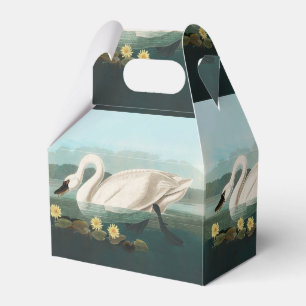 svan audubon-fågel vit vatten svanar presentaskar