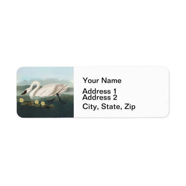 svan audubon-fågel vit vatten svanar returadress etikett (Framsidan)