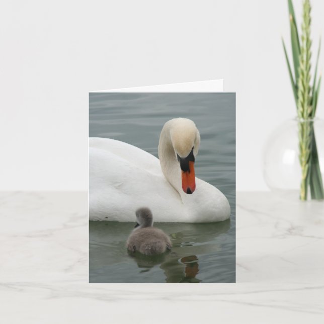 Svan Baby meddelande (Framsida)