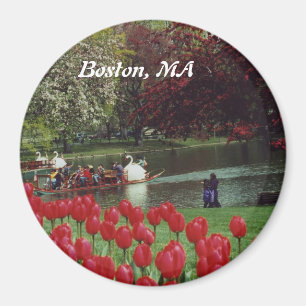 Svan Boats och Röda tulpaner Magnet