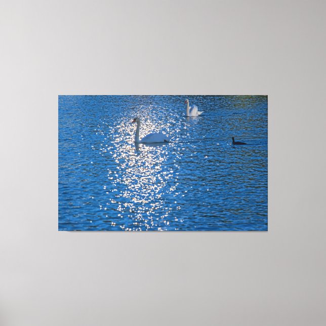 Svan Canvastryck (Framsida)