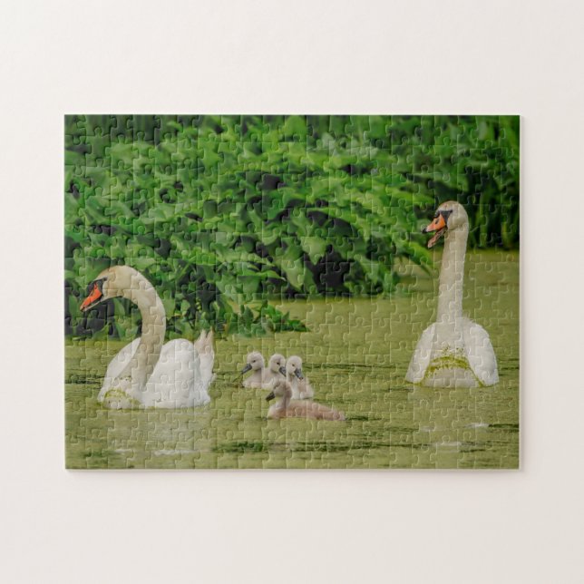 Svan-familjen Pussel (Horisontell)