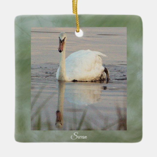 Svan Foto Ornament  (Framsida)
