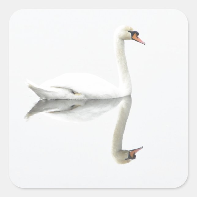 Svan Fyrkantigt Klistermärke (Framsida)