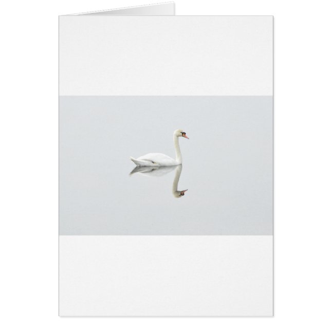 Svan Hälsningskort (Framsidan)
