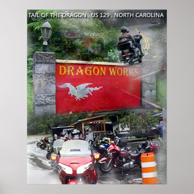 SVAN i DRAGON Poster (Framsidan)