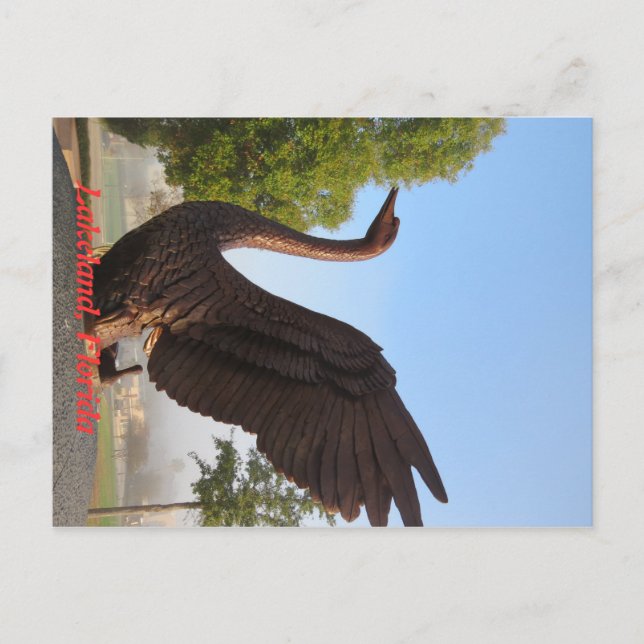 Svan i flykt Lakeland, Florida Vykort (Framsida)