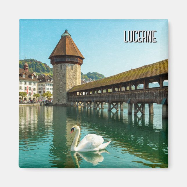 Svan i Lucerne Schweiz Travel Magnet (Framsidan)