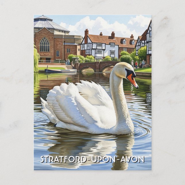Svan i Stratford-At-Avon England Travel Vykort (Framsida)