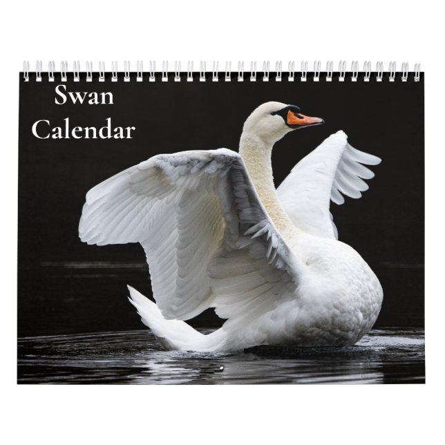Svan Kalender 2027 (Omslag)