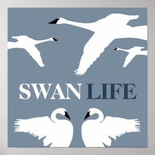 Svan Life, Elegant Svan Poster