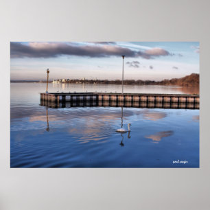 Svan Madison Wisconsin Poster