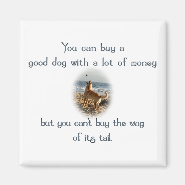 Svan Magnet (Framsidan)