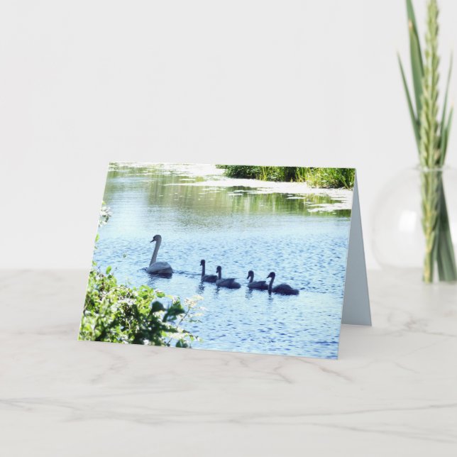 Svan med Cygnet på floden Kort (Framsida)