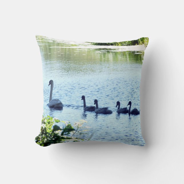 Svan med Cygnet på floden Kudde (Framsida)