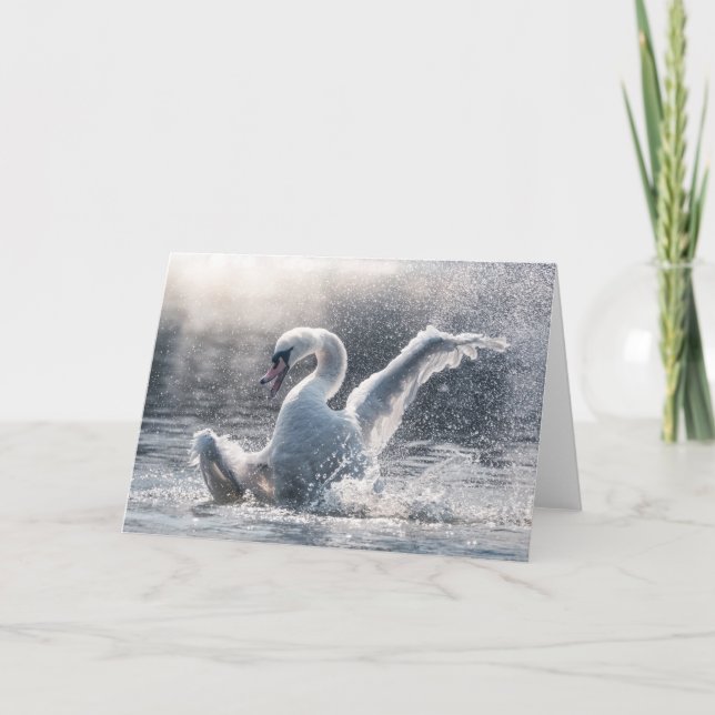 Svan-naturfotokort Kort (Framsida)