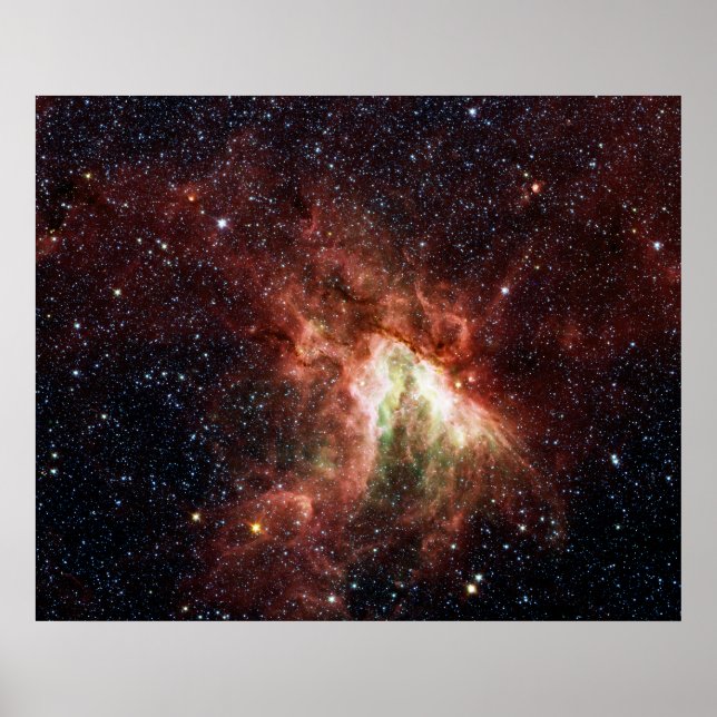 Svan Nebula Poster (Framsidan)