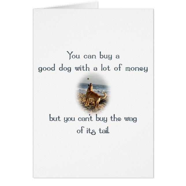 Svan OBS Kort (Framsidan)