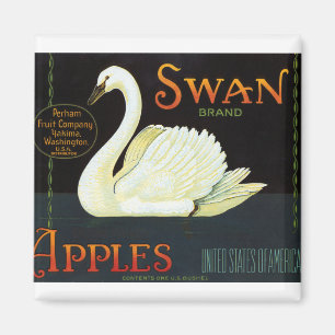Svan och äpplen magnet